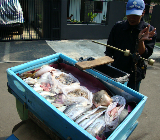 tammara-blog-07-10-16-picture-2